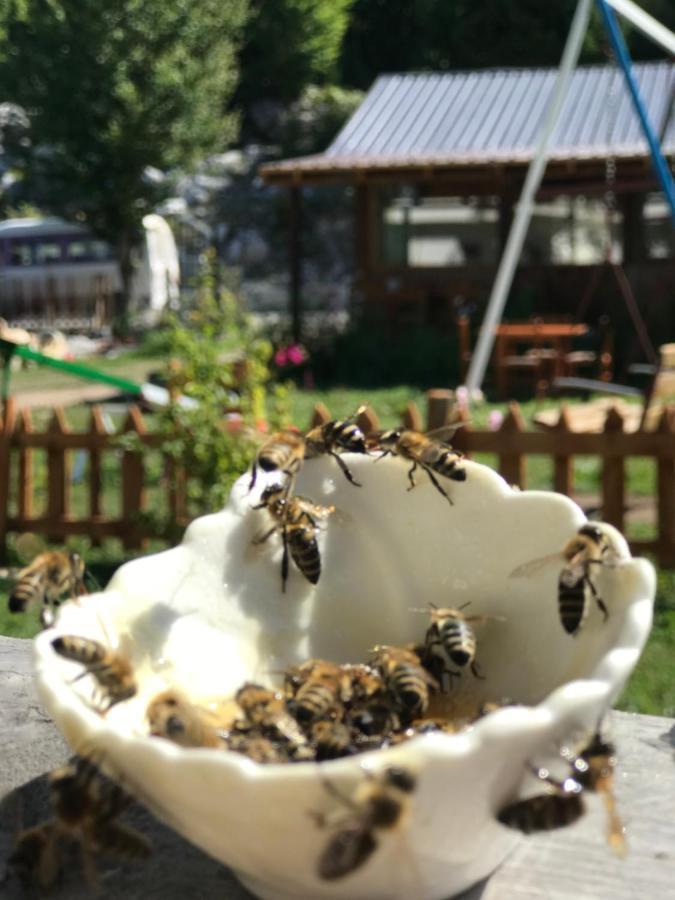 Bujtina Izet Selimaj Hotel Valbonne Exterior foto